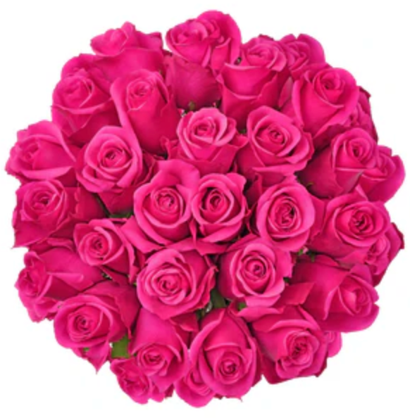 Pink roses for floral arrangements and special occasions