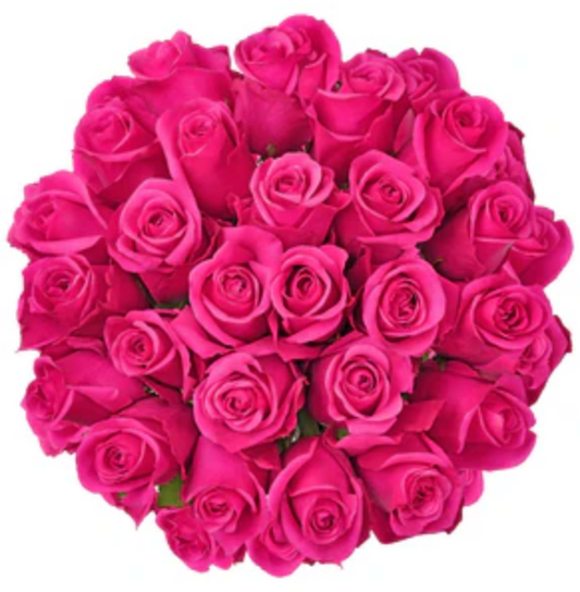 Pink roses for floral arrangements and special occasions